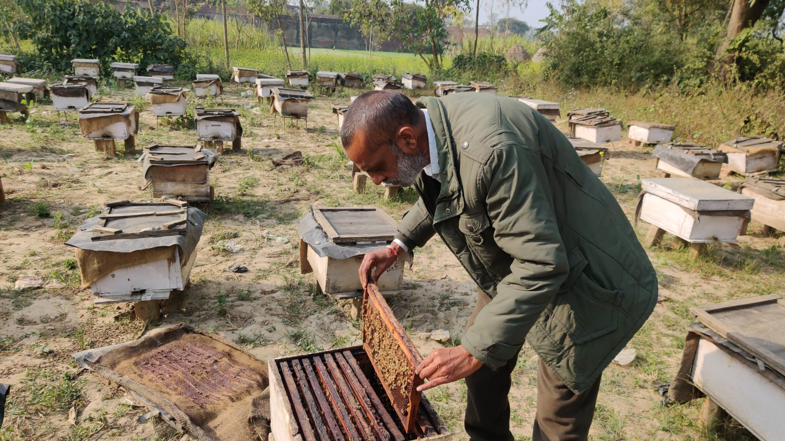 HONEY,NATURAL HONEY,PURE HONEY,SWEET HONEY,HIMALAYAN HONEY